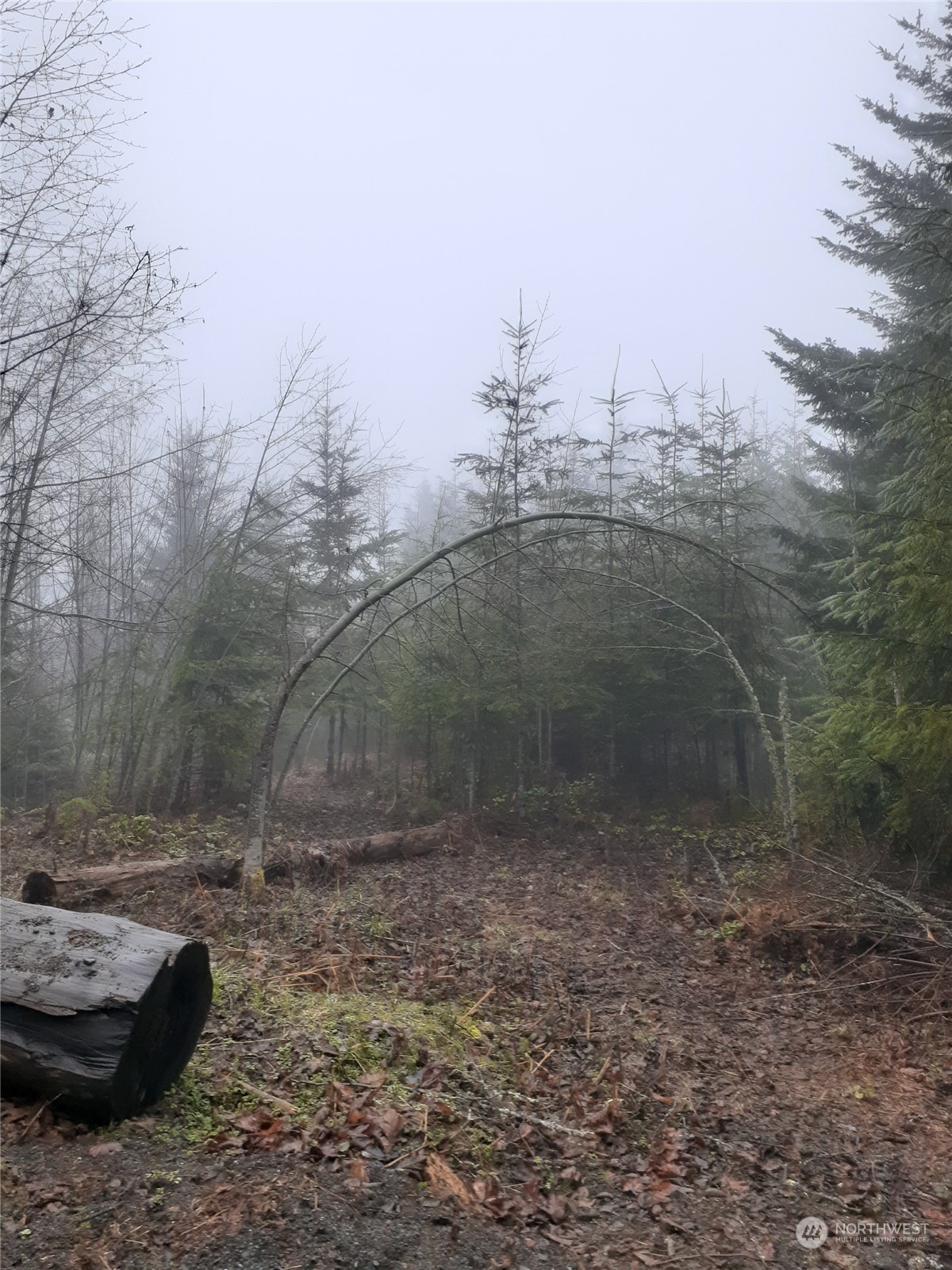 9999 South Old Mill Road Port Angeles, WA 98362 - Photo 26 of 26 a view of a backyard of the house