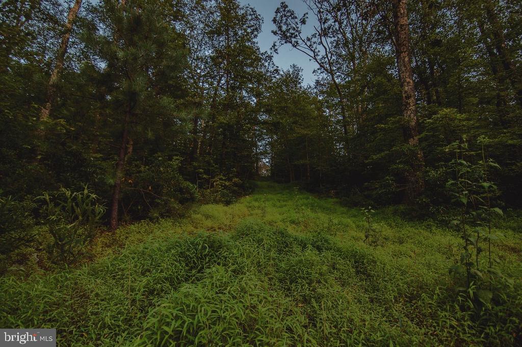 786 High Mountain Road Gardners, PA 17324 - Photo 20 of 51 Gallery Image 20