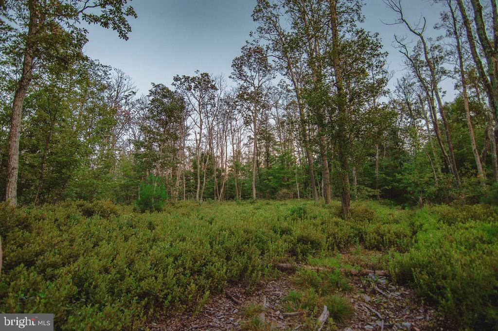 786 High Mountain Road Gardners, PA 17324 - Photo 23 of 51 Gallery Image 23
