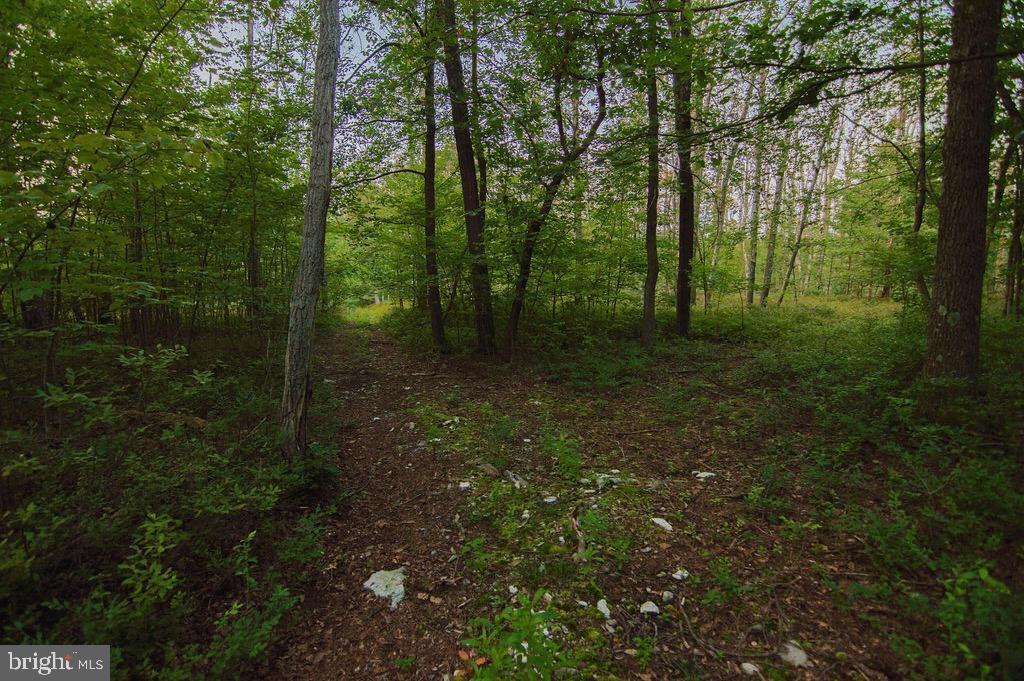 786 High Mountain Road Gardners, PA 17324 - Photo 24 of 51 Gallery Image 24