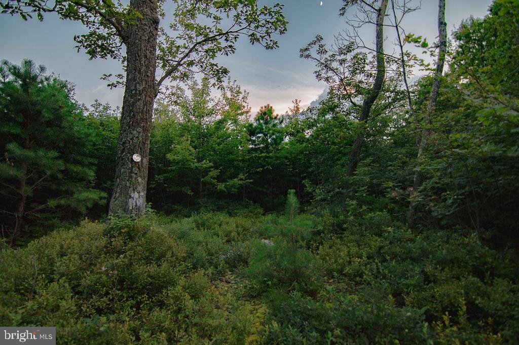 786 High Mountain Road Gardners, PA 17324 - Photo 25 of 51 Gallery Image 25