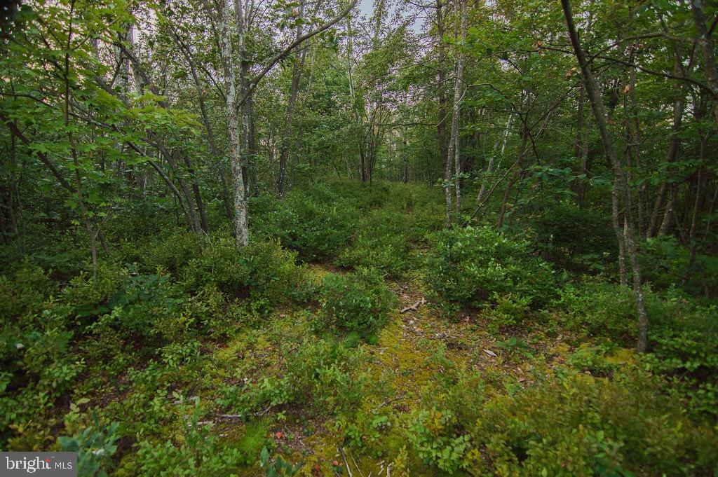 786 High Mountain Road Gardners, PA 17324 - Photo 27 of 51 Gallery Image 27