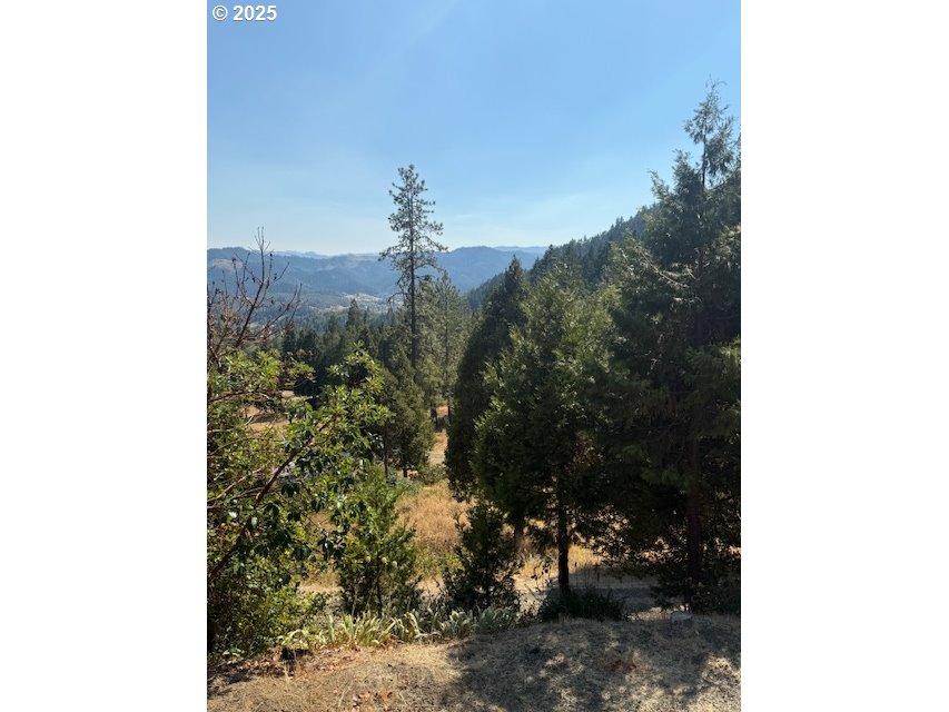1604 Spring Brook Road Myrtle Creek, OR 97457 - Photo 16 of 43 View