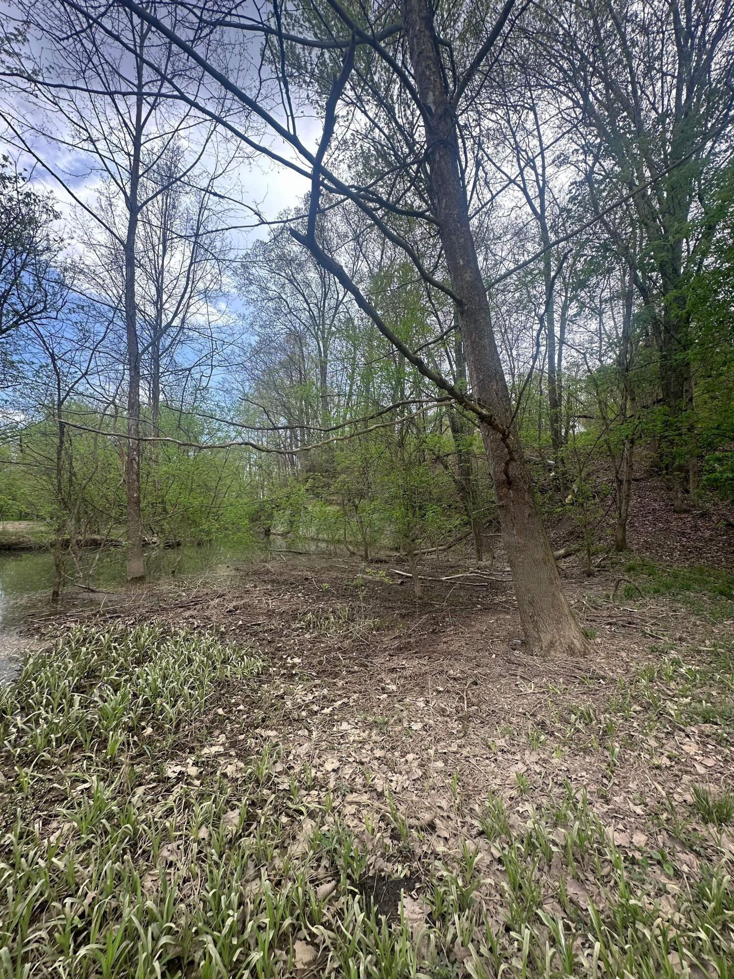 9400 Old River Road Blue Rock, OH 43720 - Photo 16 of 17 Creek