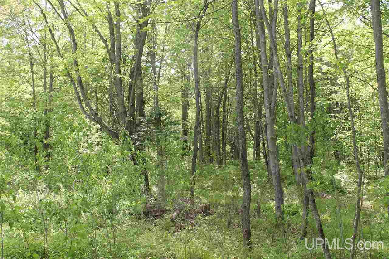 Tbd Off Kyllonen Road, Unit LAT 46 75685 LON 88 7526 Nisula, MI 49952 - Photo 3 of 24