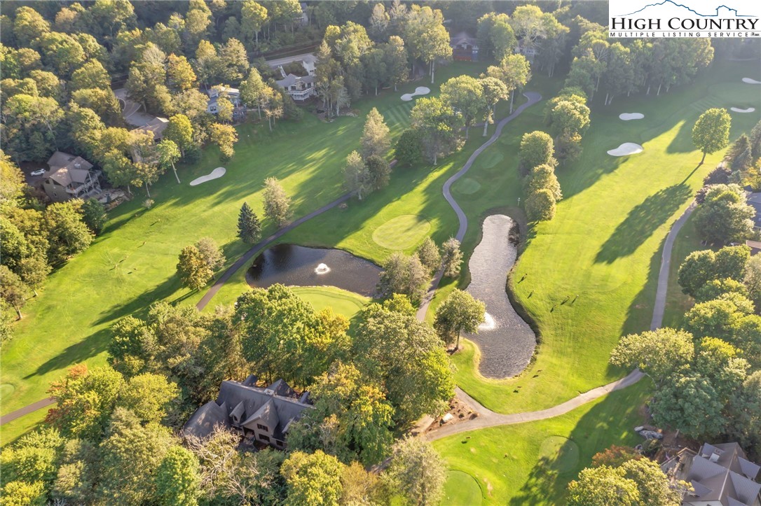 105 Old Field Road Beech Mountain, NC 28604 - Photo 15 of 43 a view of banana tree