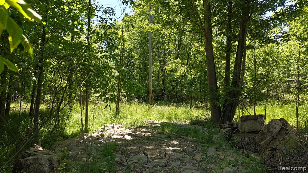 0 Williams Road Gaines, MI 48436 - Photo 28 of 28