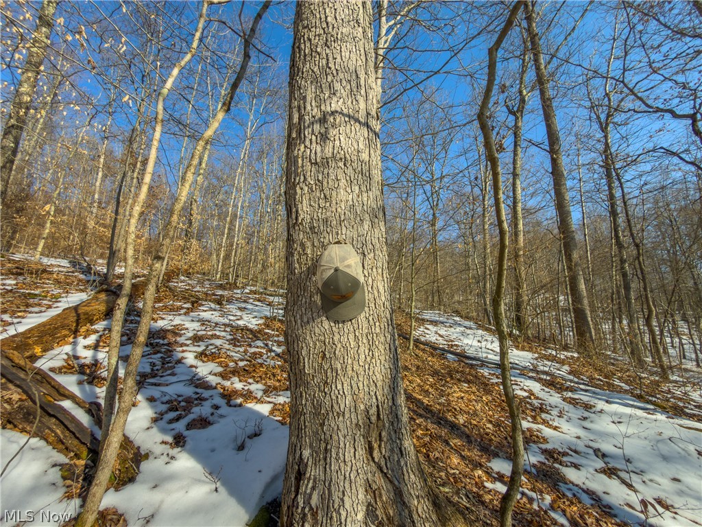 Beardmore Road Wingett Run, OH 45789 - Photo 41 of 43