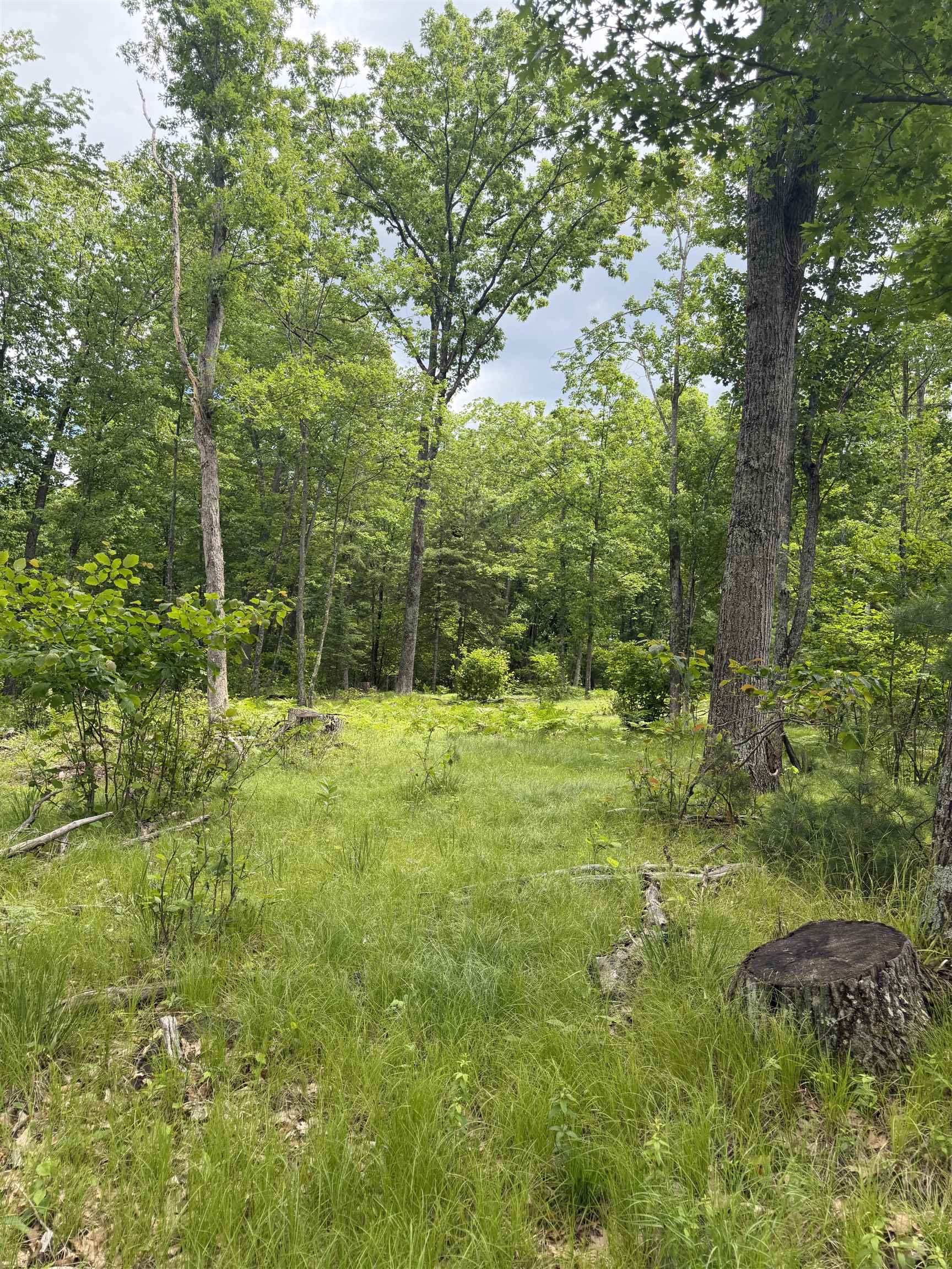 Lot 8 Rhett Lane, Unit 8 Wausaukee, WI 54177 - Photo 3 of 16