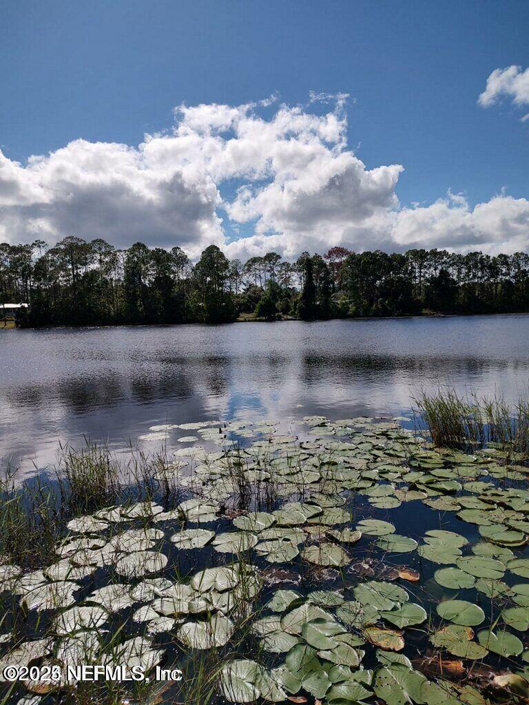 112 Bayberry Road Georgetown, FL 32139 - Photo 44 of 44 112 Bayberry 005