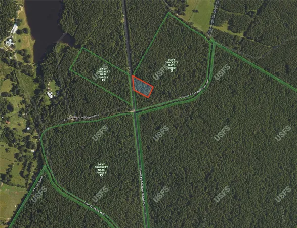 a view of a flower garden