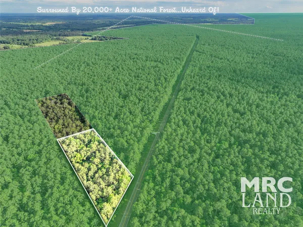 a view of a lush green space