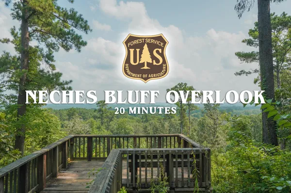 a view of outdoor space and trees all around