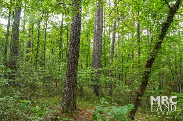 $74,600 | 0 Farm To Market 357 Kennard Tx 75847, Winters, TX 79567