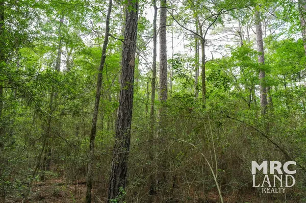 $74,600 | 0 Farm To Market 357 Kennard Tx 75847, Winters, TX 79567