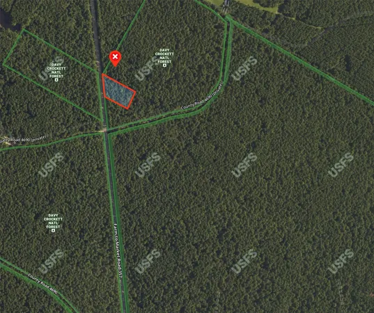 an aerial view of forest