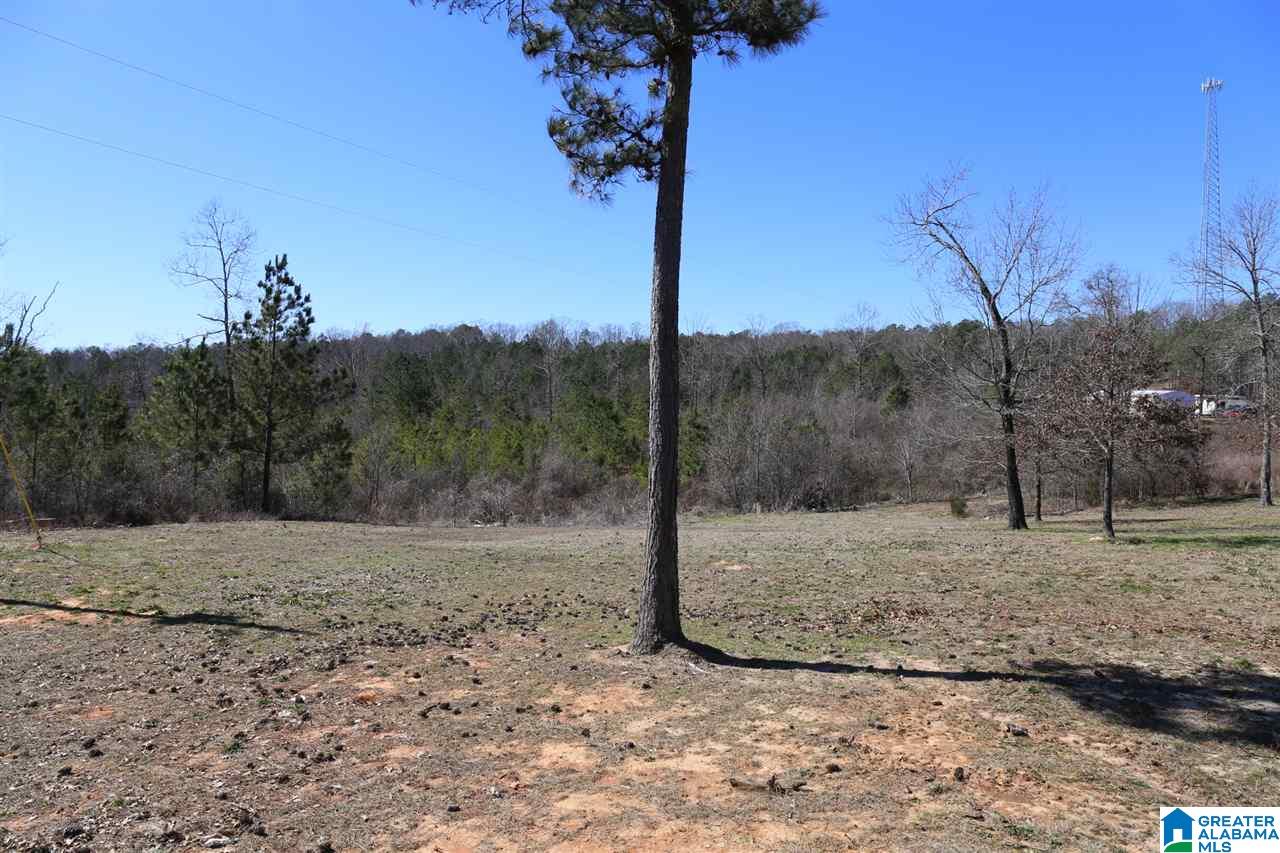 140 County Road 1040 Montevallo, AL 35115 - Photo 20 of 21