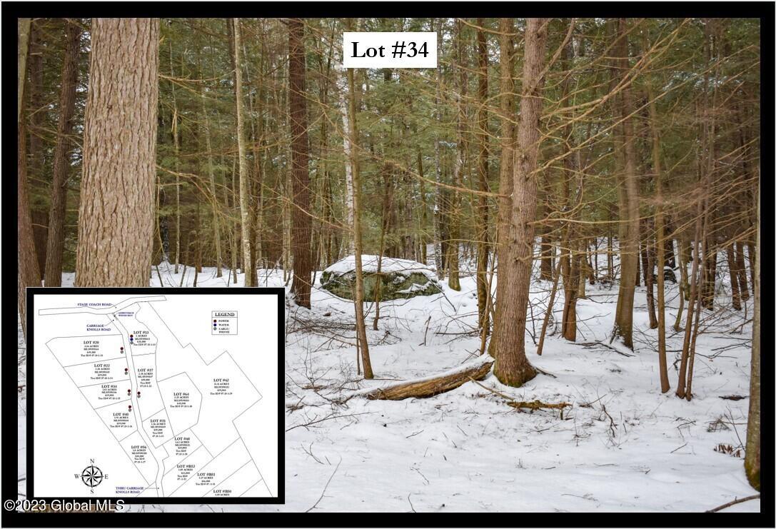 34 Carriage Road Chestertown, NY 12817 - Photo 1 of 12 Cover Framed Lot #34