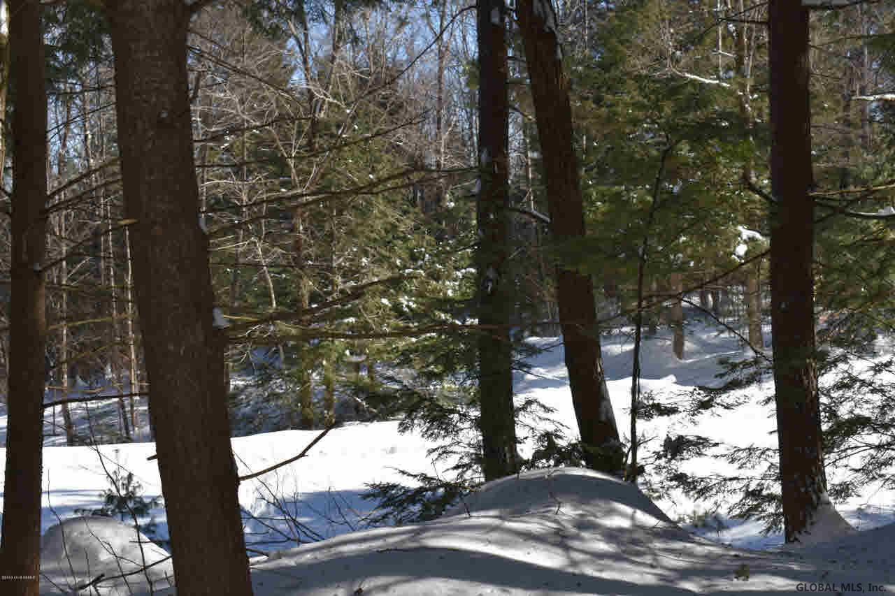 34 Carriage Road Chestertown, NY 12817 - Photo 11 of 12 Photo 11