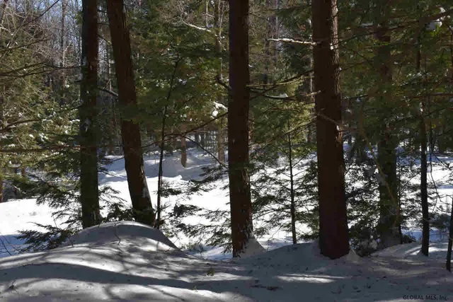 $39,500 | 34 Carriage Road, Chestertown, NY 12817