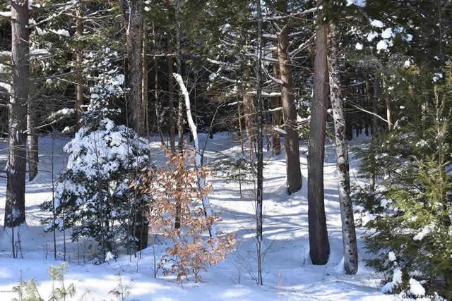 $39,500 | 34 Carriage Road, Chestertown, NY 12817