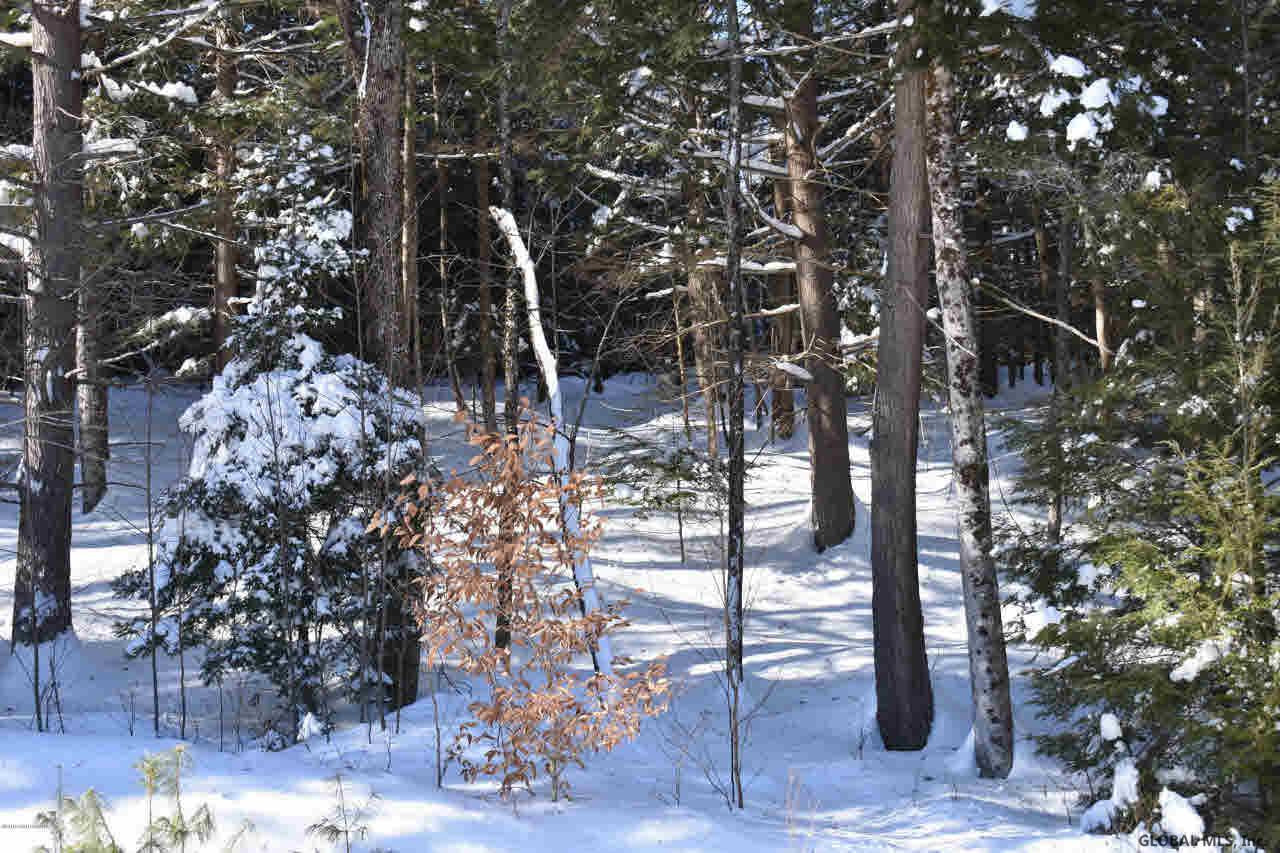 34 Carriage Road Chestertown, NY 12817 - Photo 4 of 12 Photo 4