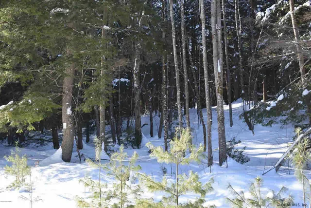 $39,500 | 34 Carriage Road, Chestertown, NY 12817