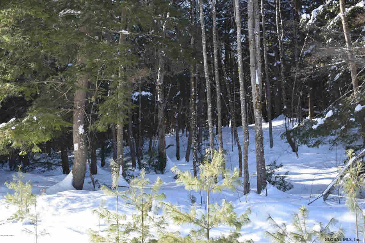 34 Carriage Road Chestertown, NY 12817 - Photo 5 of 12 Photo 5