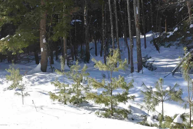 $39,500 | 34 Carriage Road, Chestertown, NY 12817