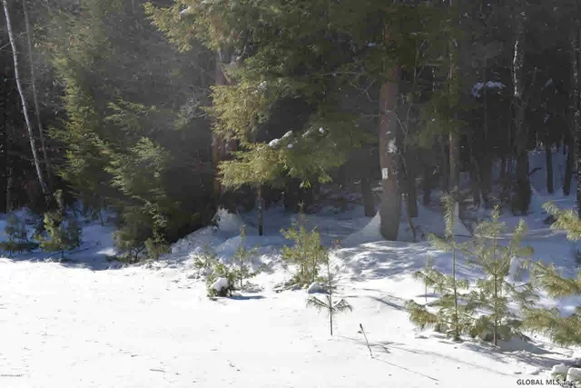 $39,500 | 34 Carriage Road, Chestertown, NY 12817