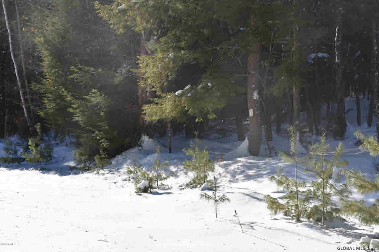 34 Carriage Road Chestertown, NY 12817 - Photo 7 of 12 Photo 7