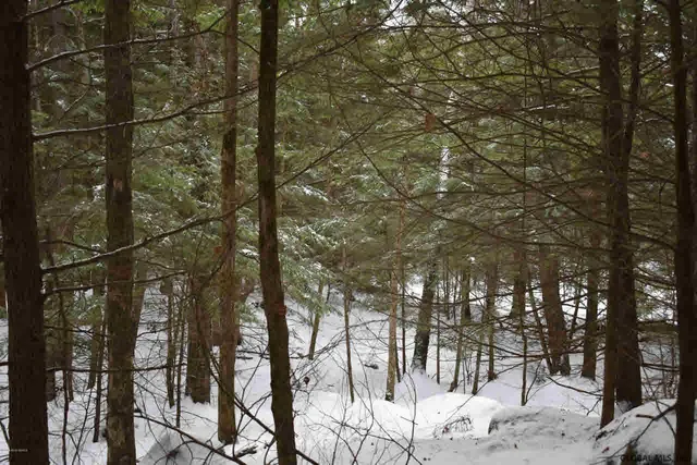 $39,500 | 34 Carriage Road, Chestertown, NY 12817