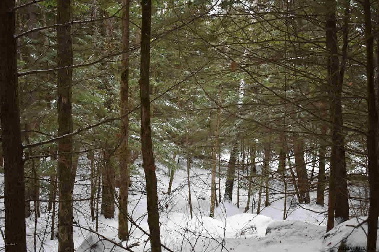 34 Carriage Road Chestertown, NY 12817 - Photo 8 of 12 Photo 8