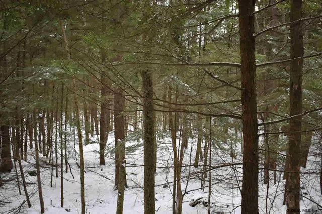 $39,500 | 34 Carriage Road, Chestertown, NY 12817