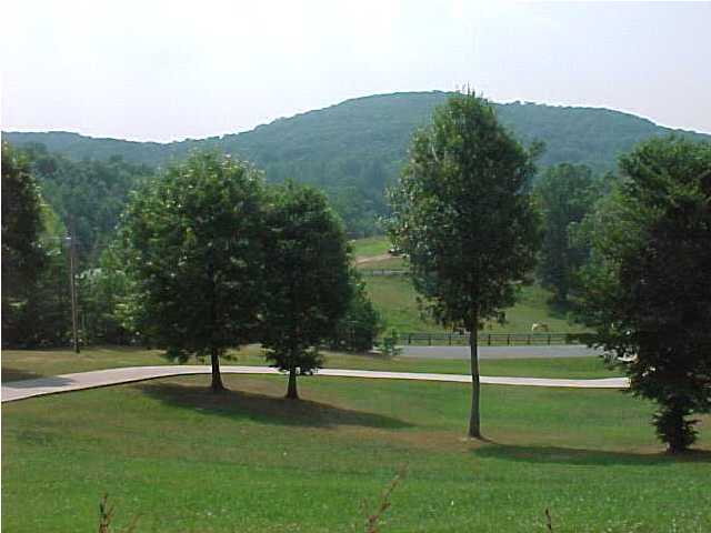 2321 Sugar Creek Road Southeast Georgetown, TN 37336 - Photo 7 of 9 Additional Photo