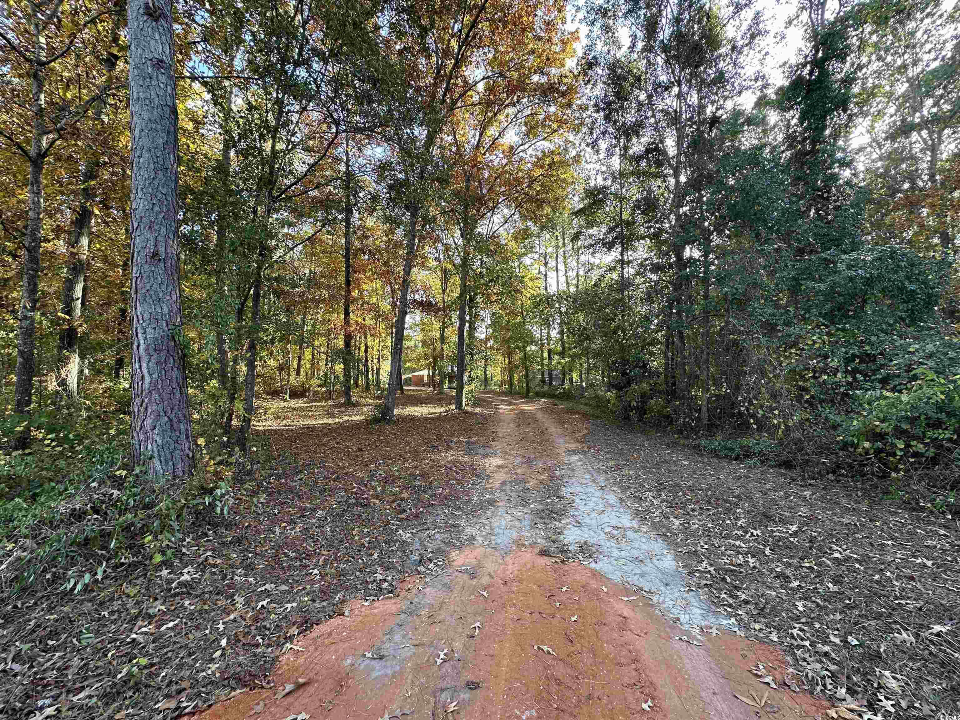 1401 Charles Drive Manning, SC 29102 - Photo 16 of 27