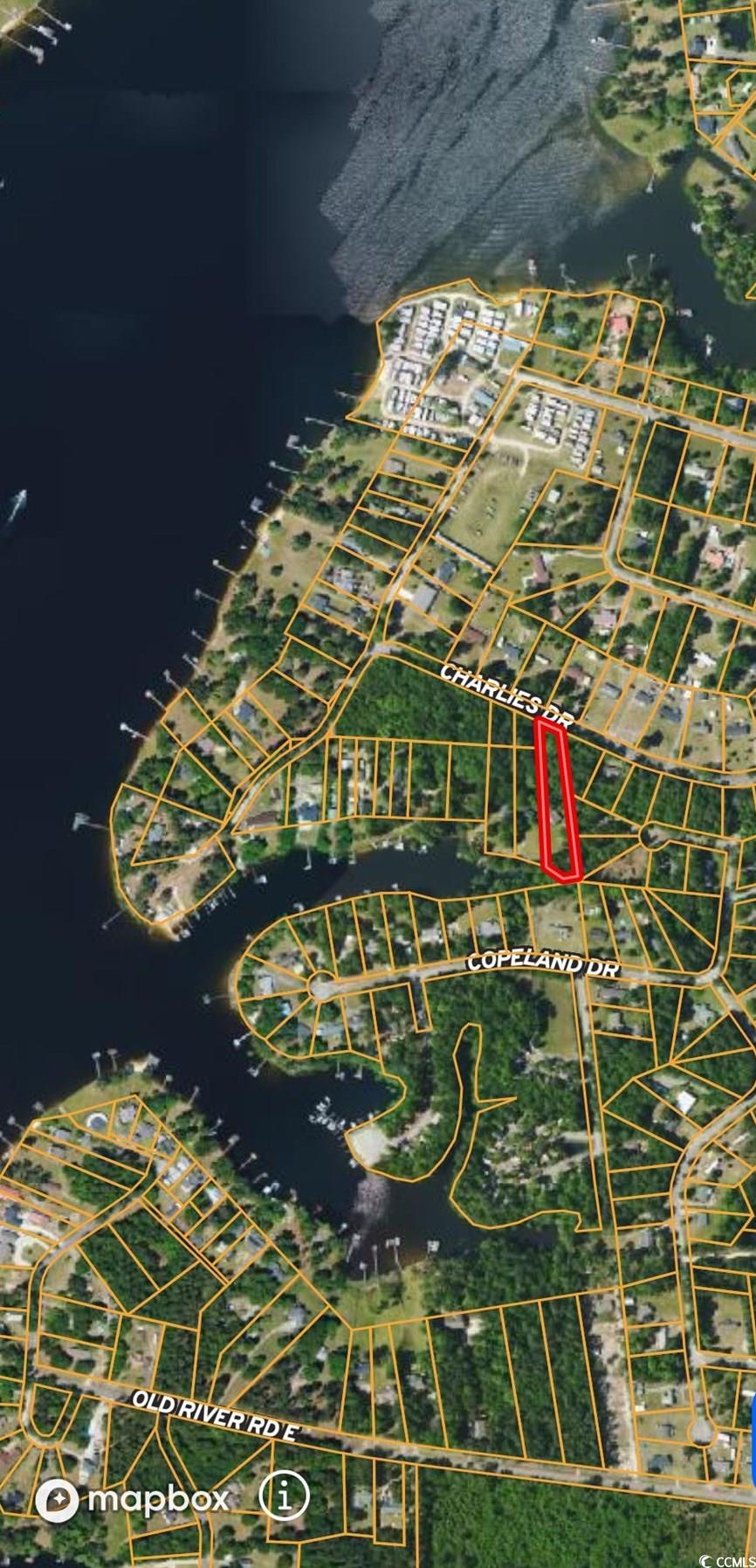 1401 Charles Drive Manning, SC 29102 - Photo 27 of 27