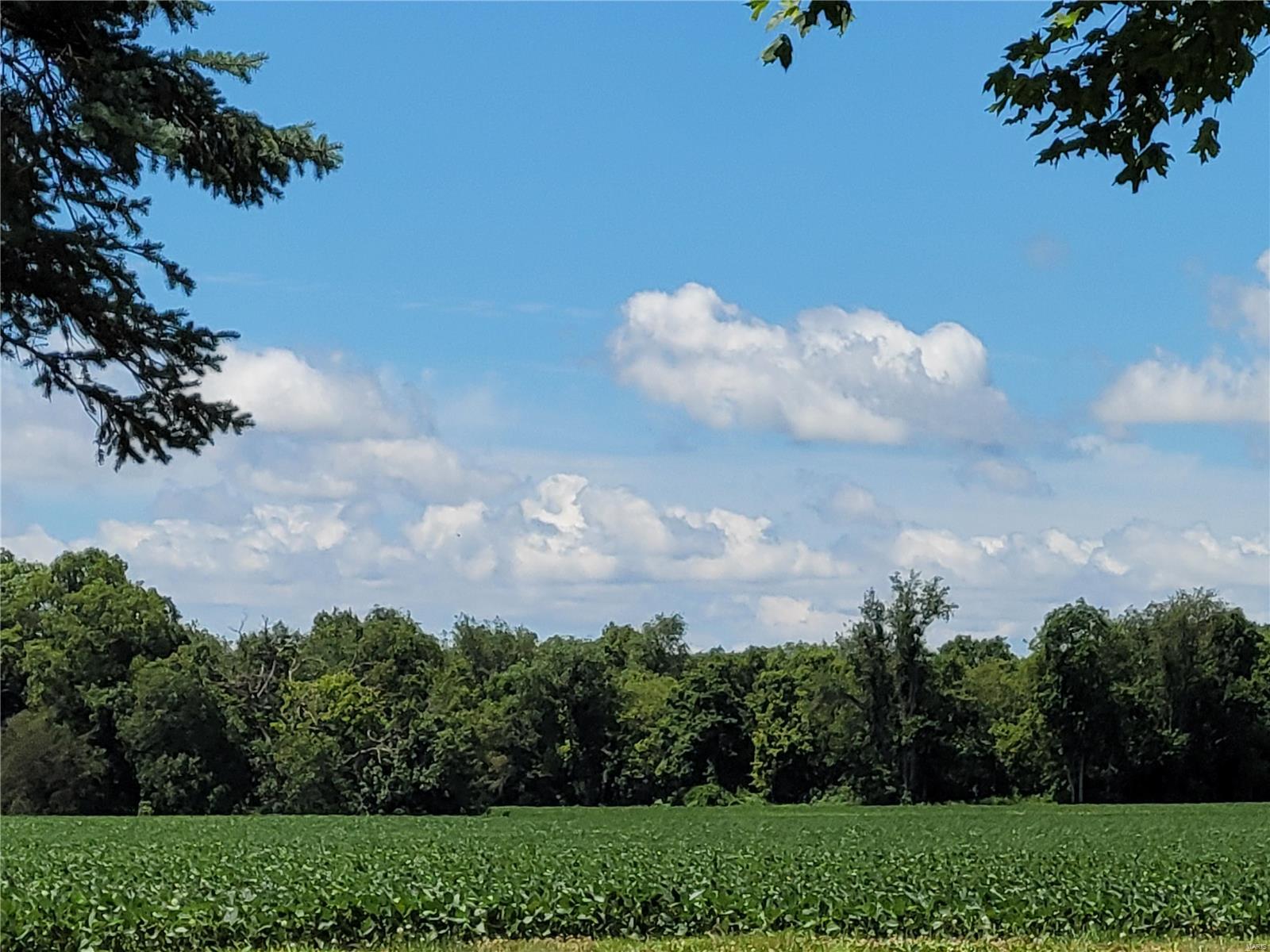 22610 Croxford Road Grafton, IL 62037 - Photo 18 of 26 Gallery Image 18