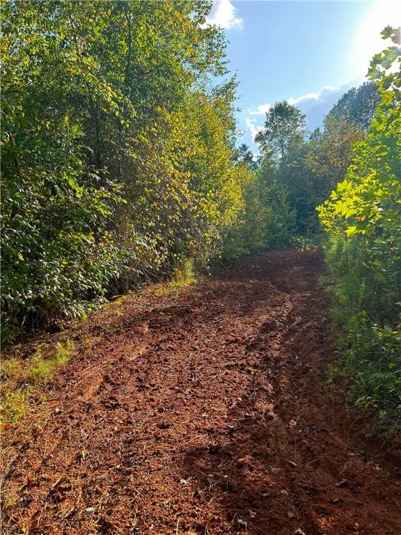 382 Crowe Creek Road Six Mile, SC 29682 - Photo 11 of 37