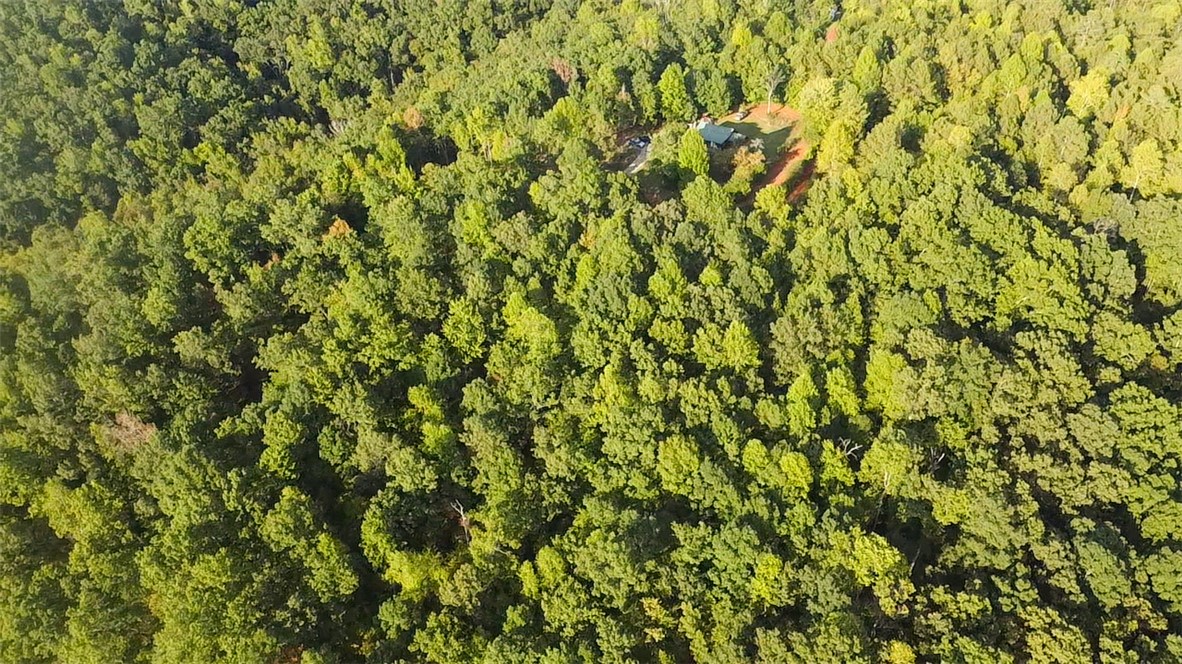 382 Crowe Creek Road Six Mile, SC 29682 - Photo 20 of 37