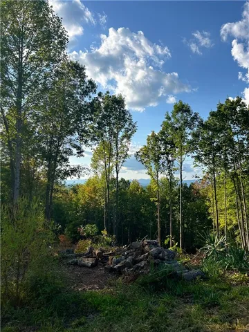 $730,000 | 382 Crowe Creek Road, Six Mile, SC 29682