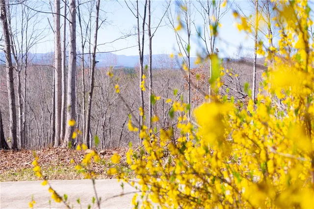 $730,000 | 382 Crowe Creek Road, Six Mile, SC 29682