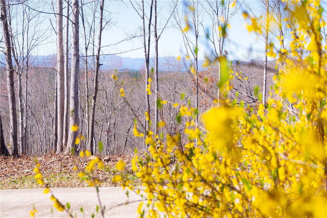 382 Crowe Creek Road Six Mile, SC 29682 - Photo 3 of 37
