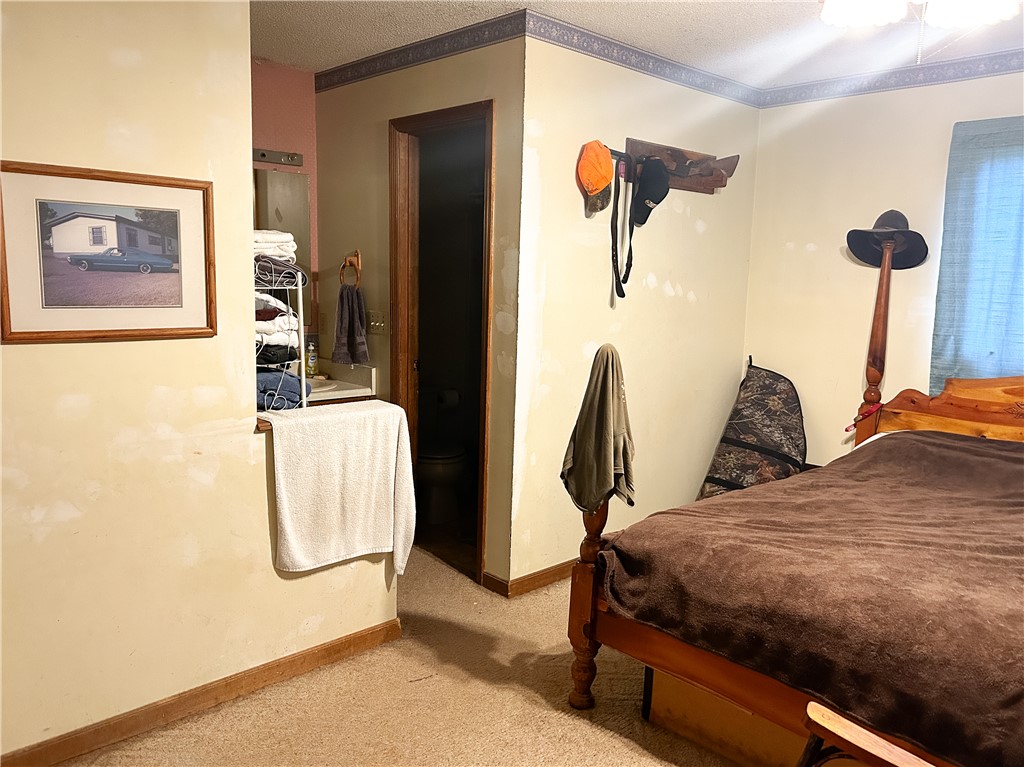 382 Crowe Creek Road Six Mile, SC 29682 - Photo 32 of 37