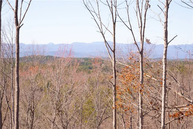 $730,000 | 382 Crowe Creek Road, Six Mile, SC 29682