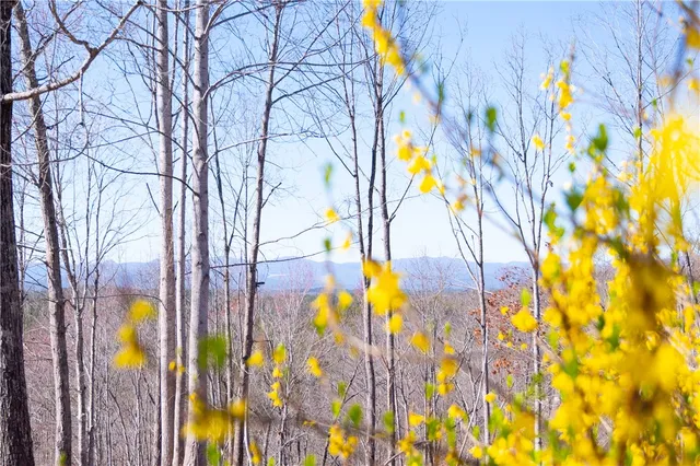 $730,000 | 382 Crowe Creek Road, Six Mile, SC 29682