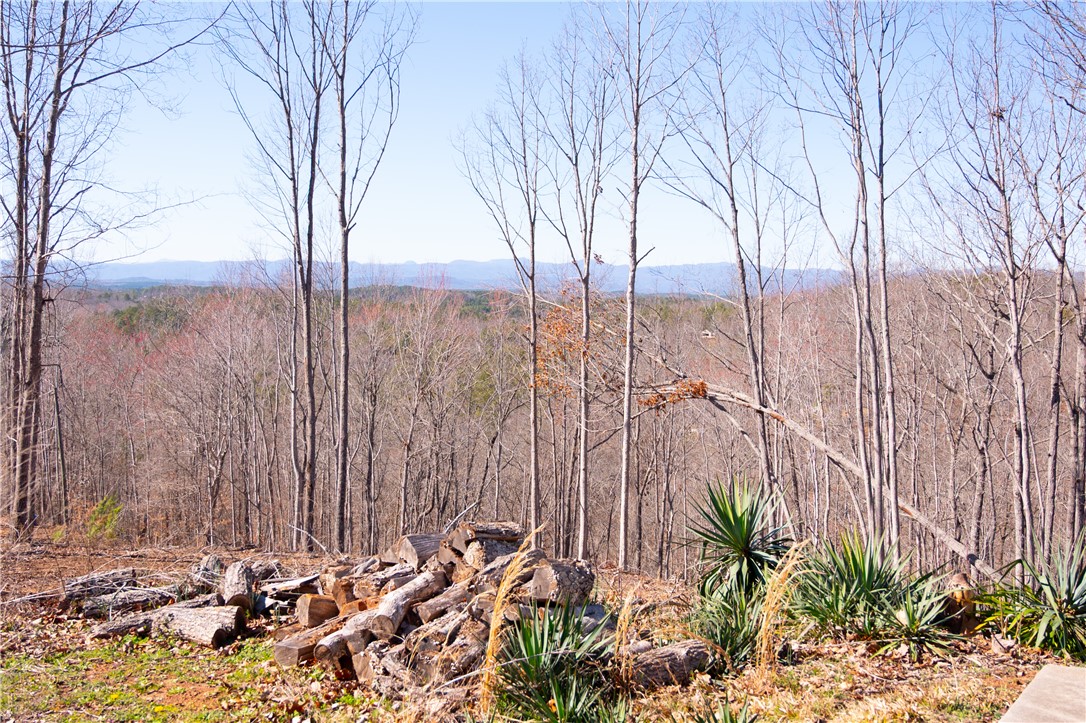 382 Crowe Creek Road Six Mile, SC 29682 - Photo 6 of 37