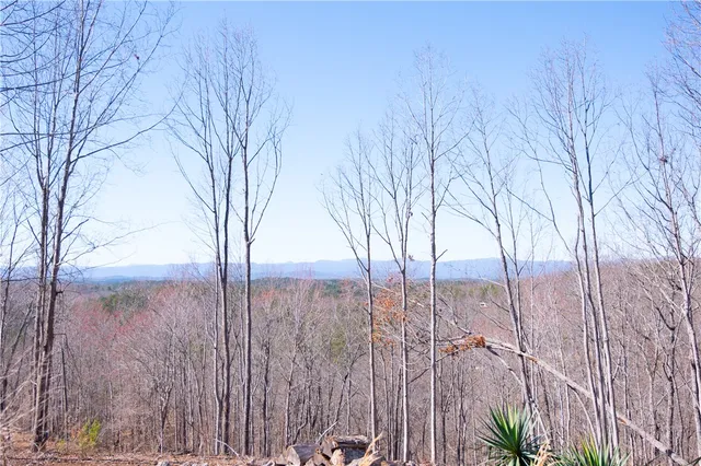 $730,000 | 382 Crowe Creek Road, Six Mile, SC 29682