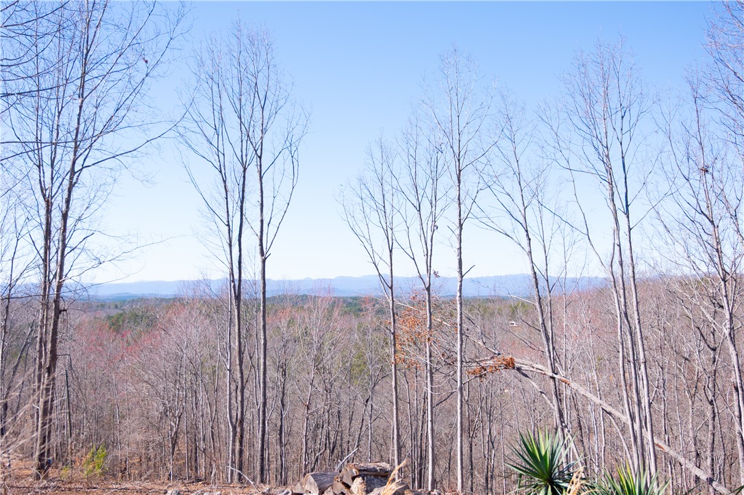 382 Crowe Creek Road Six Mile, SC 29682 - Photo 7 of 37