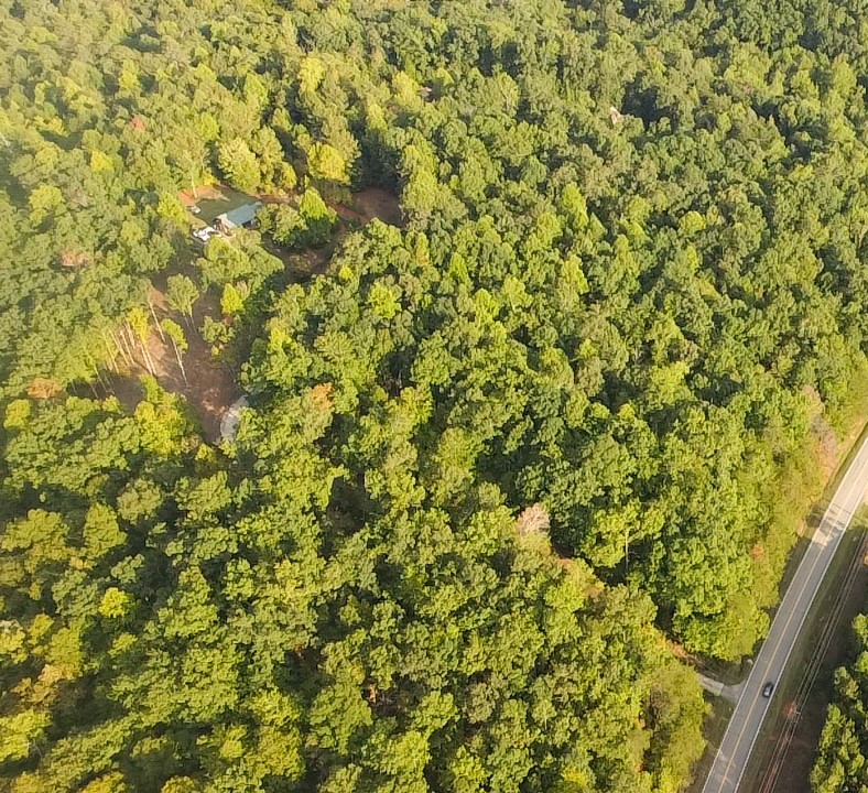 382 Crowe Creek Road Six Mile, SC 29682 - Photo 9 of 37